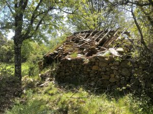 Casilla de Brezal Raso