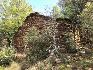 Casilla de majadas Viejas