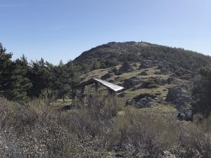 IMG 9215