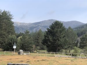 IMG 9865