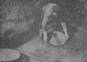 Bateador de La nava hacia 1970 (Luis Monje Ciruelo) Bateador de La nava hacia 1970 (Luis Monje Ciruelo)