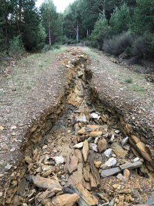 PHOTO 2025 05 03 20 15 33