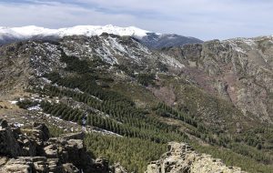 Cuerda del Malcalzado y Pico del Lobo