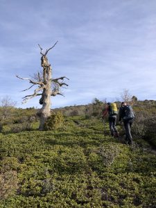 Subiendo a Cabeza Rocín