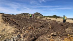 Por el reciente cortafuegos hacia el Atalaya