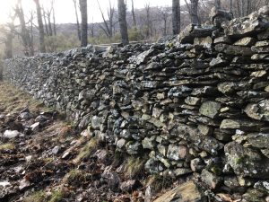 La pared de Los Colmenares