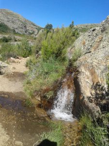Cacerón en los Cerrajuelos