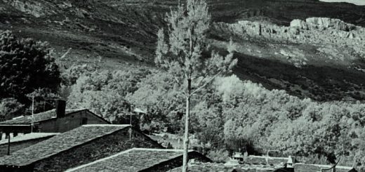 mayotorre