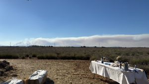 El fuego desde los campos de lavanda (Cristina Toledano) El fuego desde los campos de lavanda (Cristina Toledano)