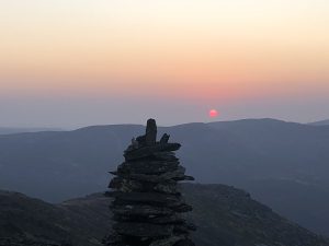 IMG 0942