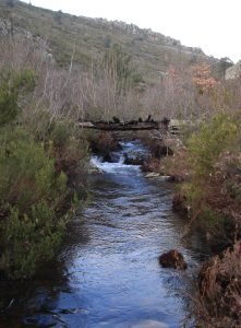 Puente del Tranquillo